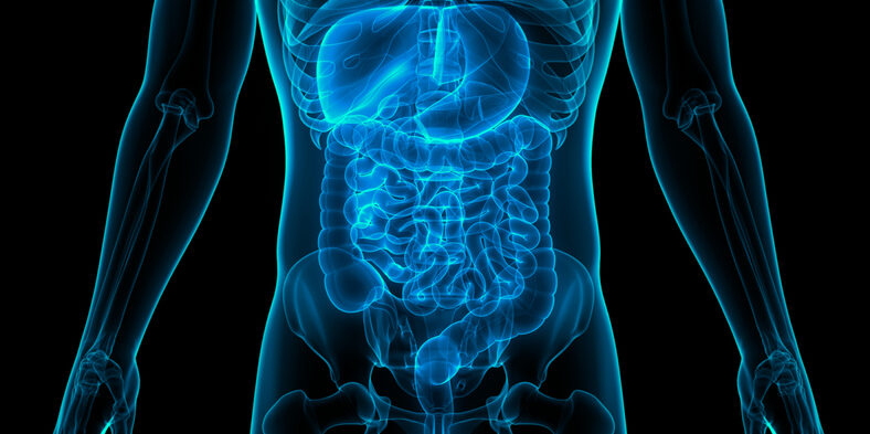 Bowel Screening – A Crucial Service