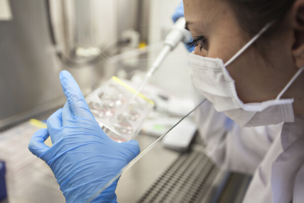 researchers lab work